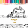 Rongid I osa