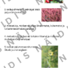 Nõmme- ja palumets (ristsõna) - Image 3