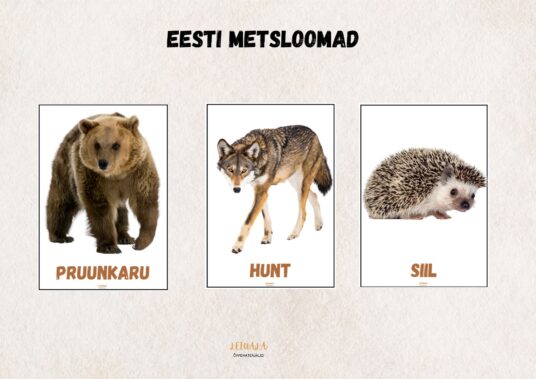 Eesti metsloomad, plakatid A4
