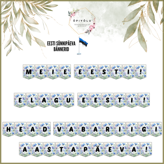 Eesti sünnipäeva bännerid