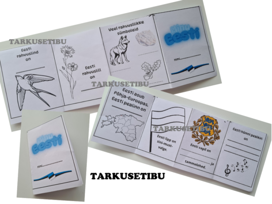 Minu Eesti miniraamat