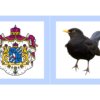 Eesti naaberriigid - Image 5