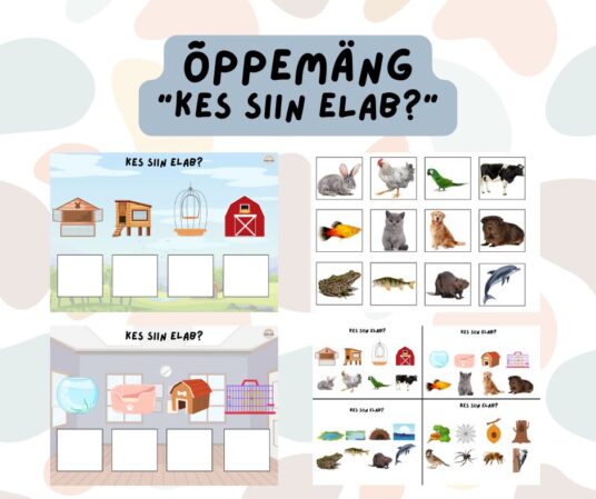 Õppemäng "Kes siin elab?"