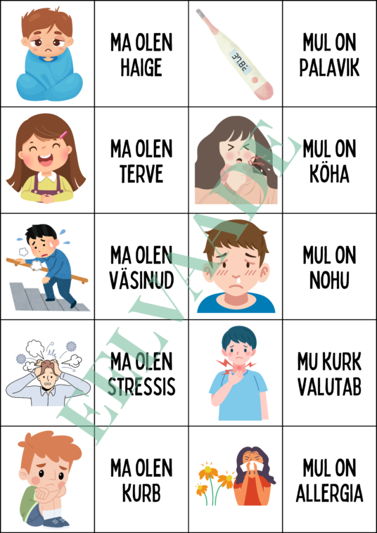 "TERVIS - väikesed pildi- ja lausekaardid" - Image 2