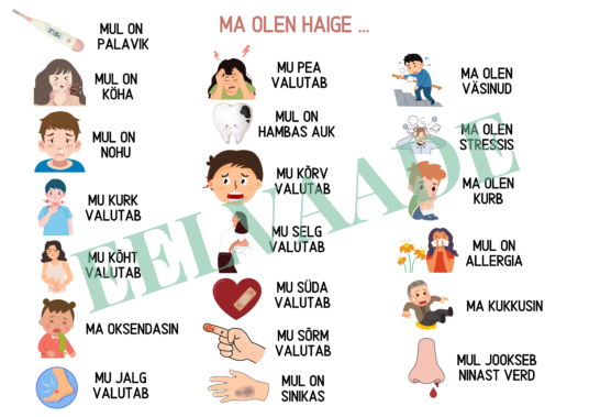 "TERVIS - rääkimiskaardid (24 tk) + piltsõnastik" - Image 3