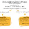 SKEEMID: hüdroksiidi nimetamine ja valemi koostamine