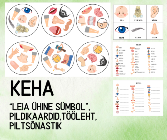 "KEHA ("Leia ühine sümbol", pildikaardid, tööleht, piltsõnastik)"
