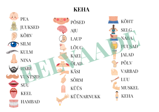 "KEHA ("Leia ühine sümbol", pildikaardid, tööleht, piltsõnastik)" - Image 4