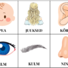 "KEHA ("Leia ühine sümbol", pildikaardid, tööleht, piltsõnastik)" - Image 3