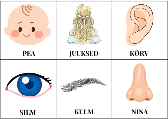 "KEHA ("Leia ühine sümbol", pildikaardid, tööleht, piltsõnastik)" - Image 3
