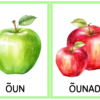 Pildikaardid - Ainsus ja mitmus - Image 2