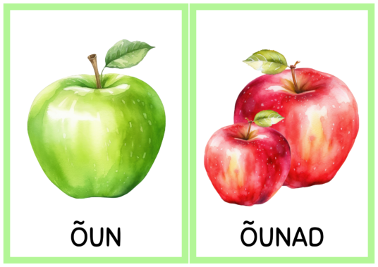 Pildikaardid - Ainsus ja mitmus - Image 2