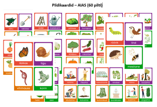 Pildikaardid - aias (60 pilti)