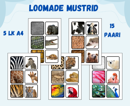 Loomade mustrid - leia paar