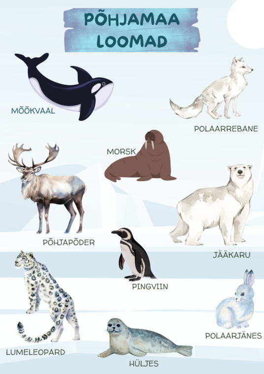 Plakat - Põhjamaa loomad
