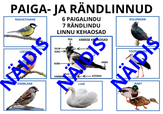 Paiga- ja rändlinnud