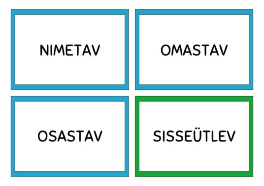 Eesti keele käänete õppekaardid - Image 2