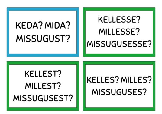 Eesti keele käänete õppekaardid - Image 3
