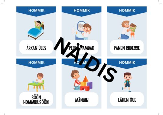 Päevakava kaardid