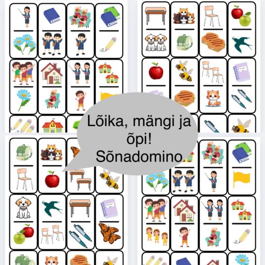 Sõnadomino - See on... Need on... (2 komplekti, 24+24 doomino tükki)