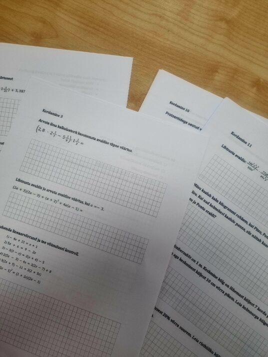 9.klassi kordamine (15 kordamislehte erinevatel teemadel)