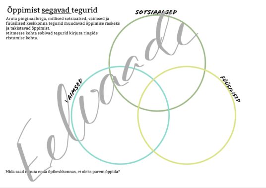 Õppimist toetavad/takistavad tegurid - Image 2
