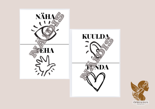 VEPA visioon vähemalt A3 suuruses plakatite loomiseks