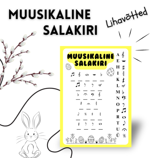 Muusikaline salakiri - lihavõtted