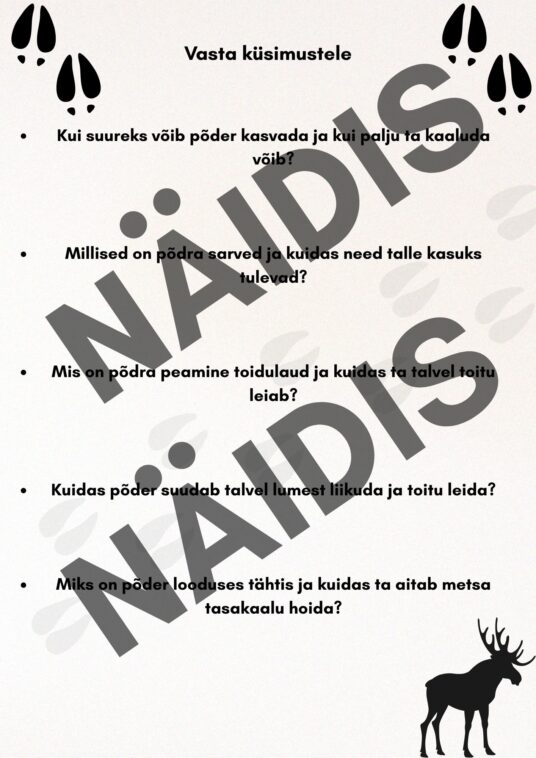 Põder-Funktsionaalne lugemine-tekst + küsimused - Image 2