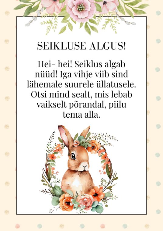 MUNAJAHT. Otsimismäng- 18 vihjekaarti toas kasutamiseks. - Image 3