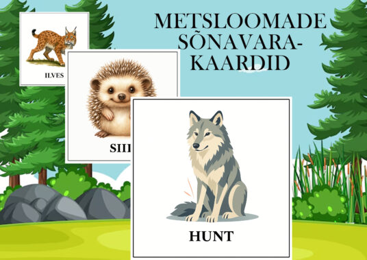 Metsloomade sõnavarakaardid