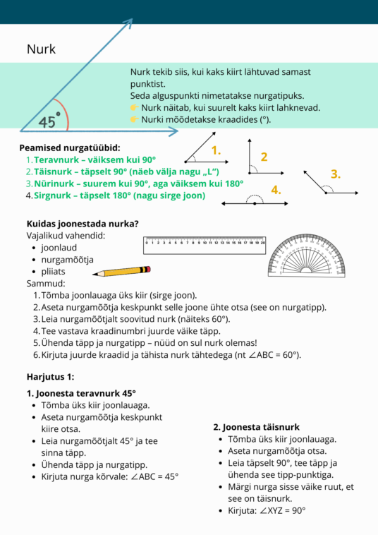 Diferentseeritud tööraamat 5.klassile XIII osa - Image 4