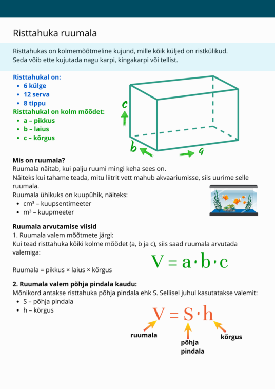 Diferentseeritud tööraamat 5.klassile XIV osa - Image 4