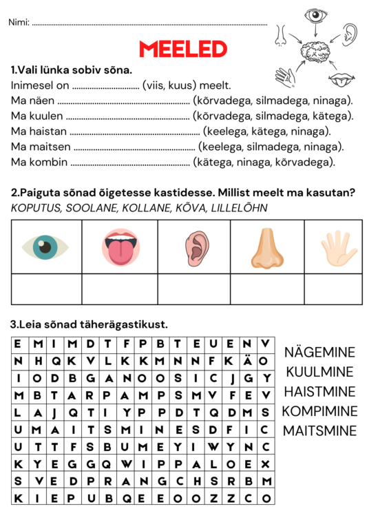 Inimese viis meelt