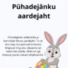 Pühadejänku aardejaht