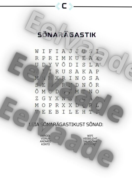 Küberturvalisuse sõnarägastik