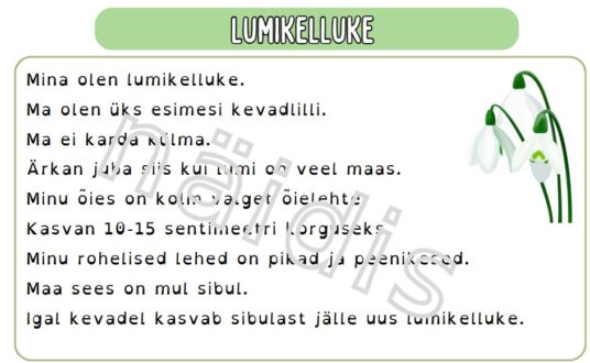 Minu kevaderaamat - Image 4