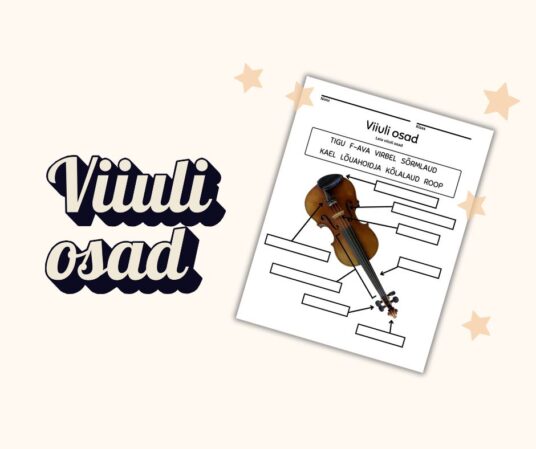 Viiuli osad