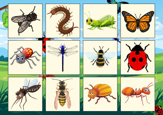 PUTUKATE LOTO - Image 2