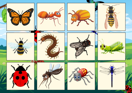 PUTUKATE LOTO - Image 3