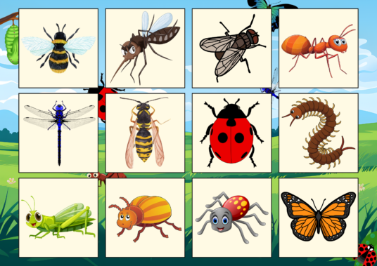 PUTUKATE LOTO - Image 4