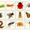 PUTUKATE LOTO - Image 6
