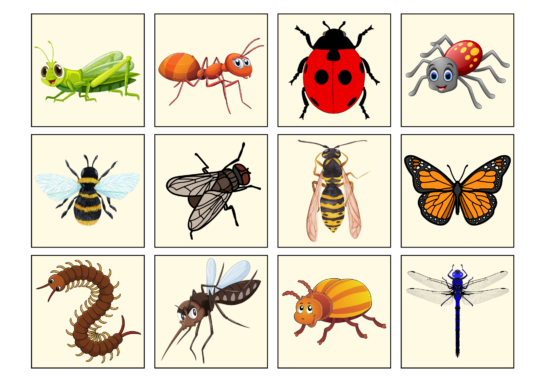 PUTUKATE LOTO - Image 6