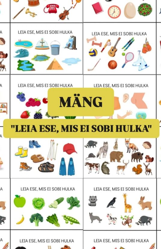 Mäng. "Leia ese, mis ei sobi hulka" 2.osa