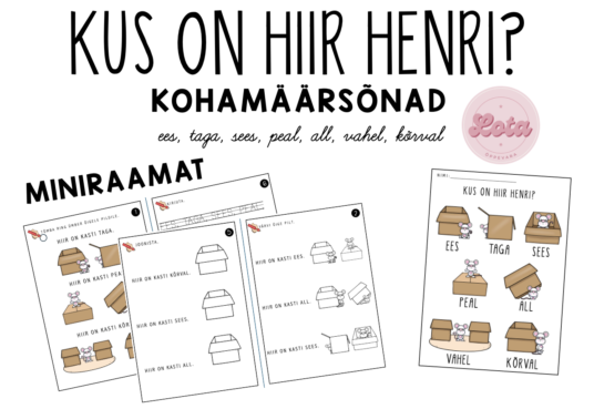 Miniraamat "Kus on hiir Henri?"