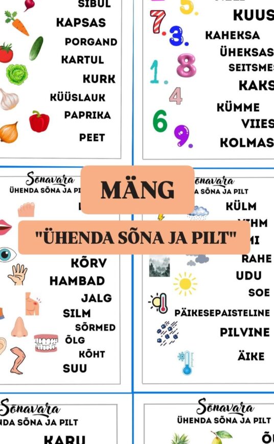 Mäng. "Ühenda sõna ja pilt" 2. osa