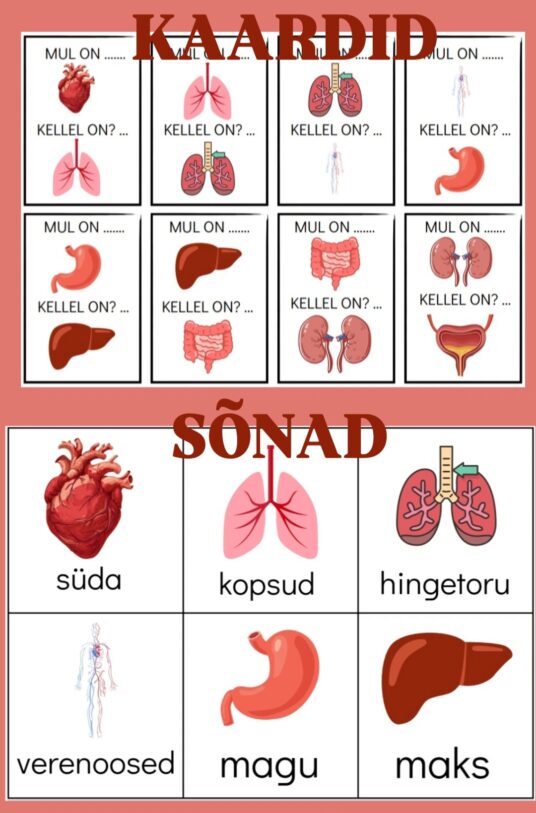 Mäng "Kellel on?" + sõnad, "elundid" teemal