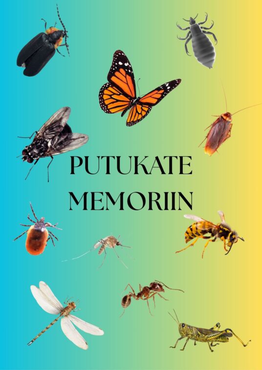 Putukate memoriin