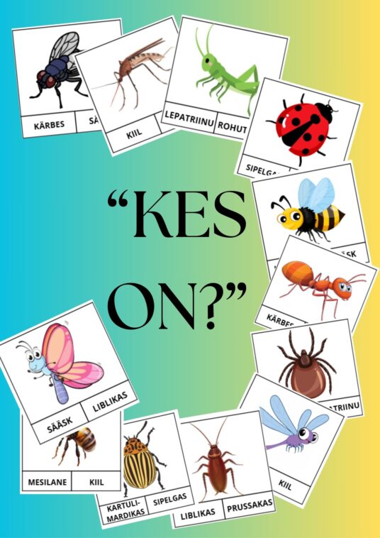 "Kes on?" - Putukad