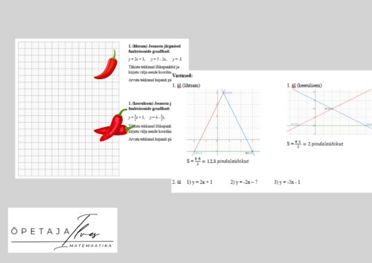 Lineaarfunktsioonide teema kordamise tööleht 7. klassile